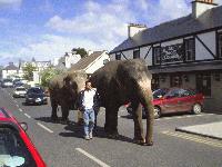Pictures of scenery in donegal